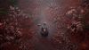 تصویر خرید بازی Silent Hill f Day One Edition ریجن ALL برای Ps5