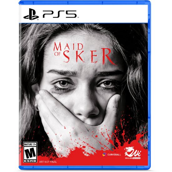 تصویر بازی Maid of Sker برای ps5