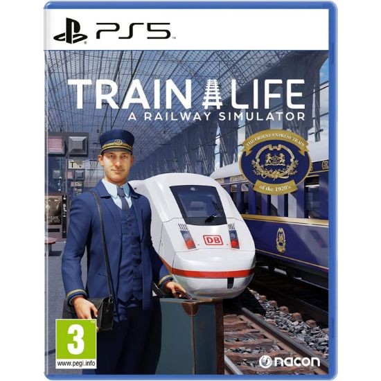 تصویر بازی Train Life: A Railway Simulator برای ps5